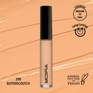 Lavish Creamy Concealer