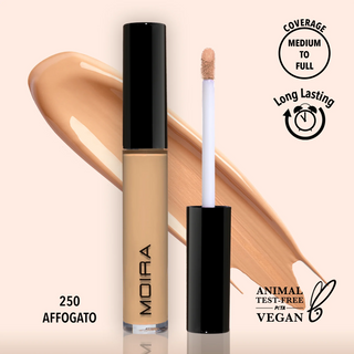 Lavish Creamy Concealer