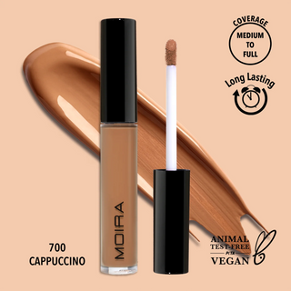 Lavish Creamy Concealer