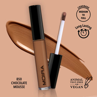 Lavish Creamy Concealer