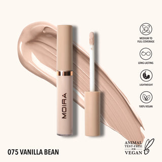 Lavish Creamy Concealer