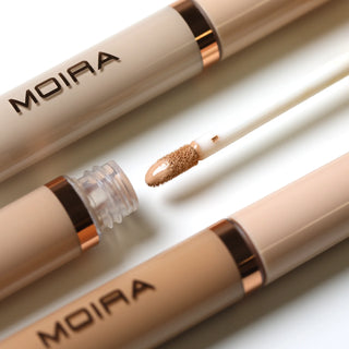 Lavish Creamy Concealer